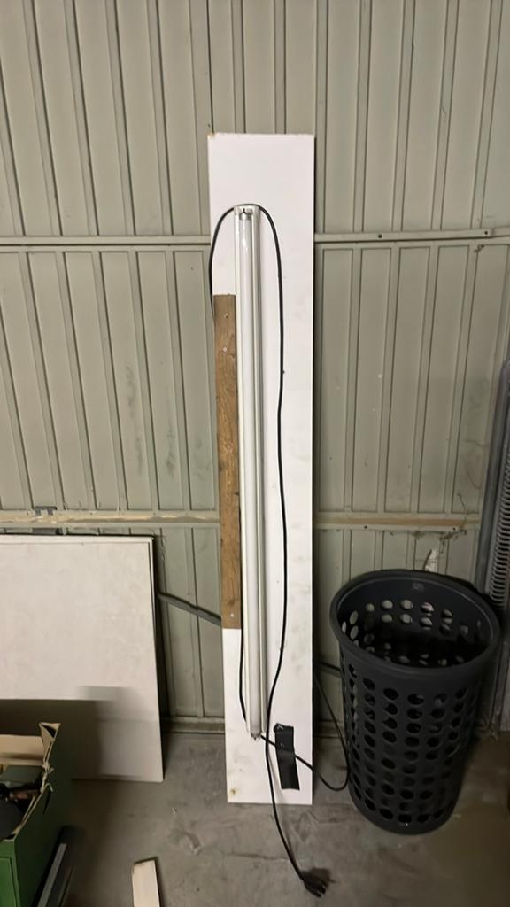 TL lamp, Ophalen