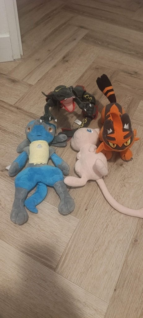 Pokemon knuffels, Overige merken, Overige typen, Ophalen of Verzenden, Zo goed als nieuw