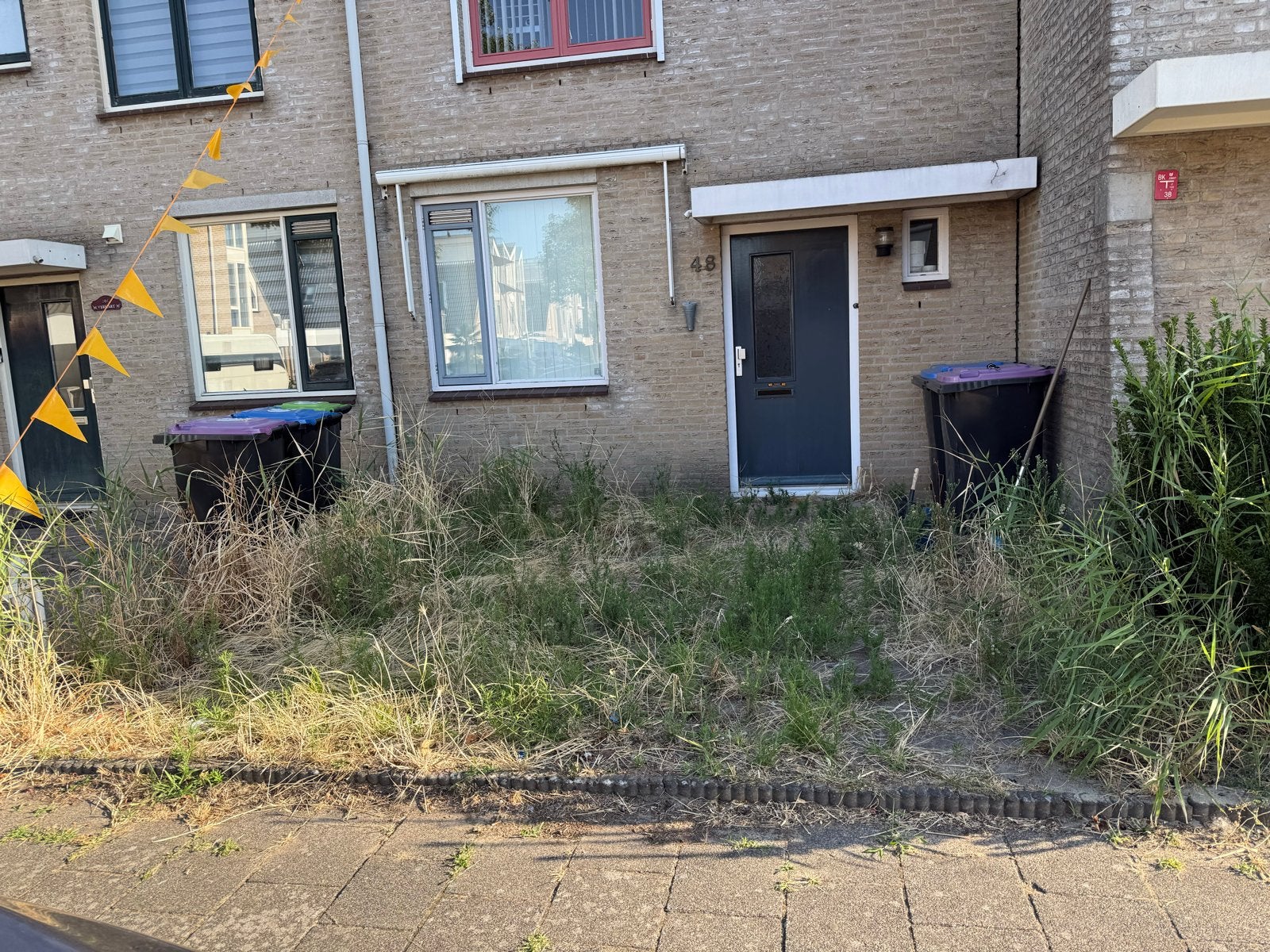 Tuin onkruid vrij maken!, Tuinonderhoud of Snoeiwerk