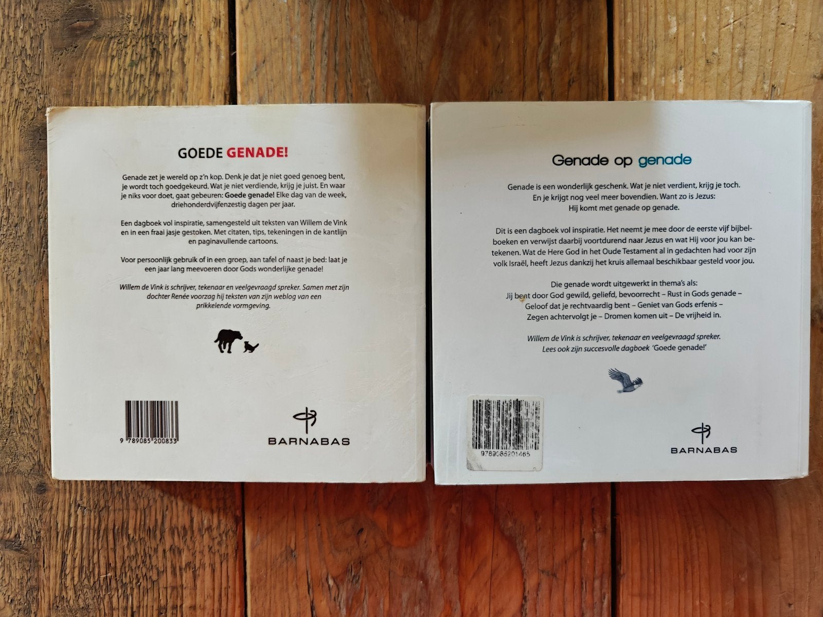2 Dagboeken van Willem de Vink., Ophalen of Verzenden