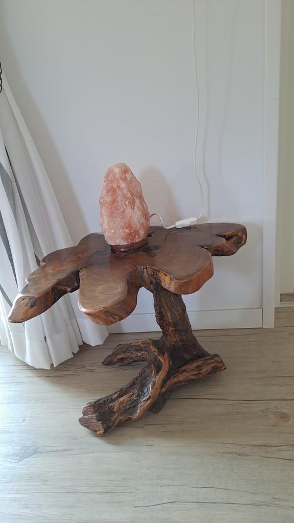 Unieke bijzettafel van kwihi boom Aruba- robuust en stijlvol, Huis en Inrichting, Tafels | Bijzettafels, Gebruikt, 75 cm of meer