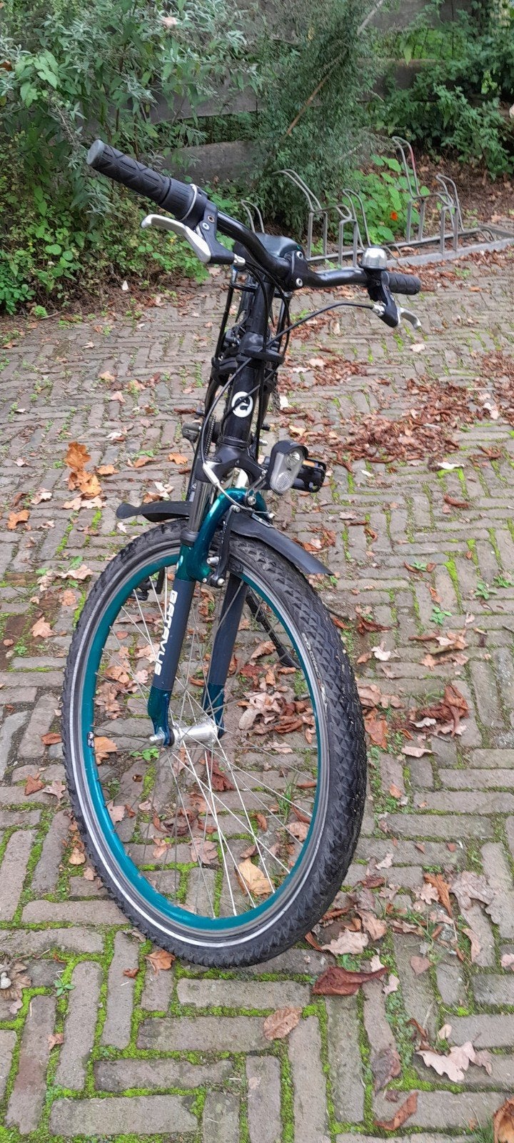 Foto 3 van Batavus Snake