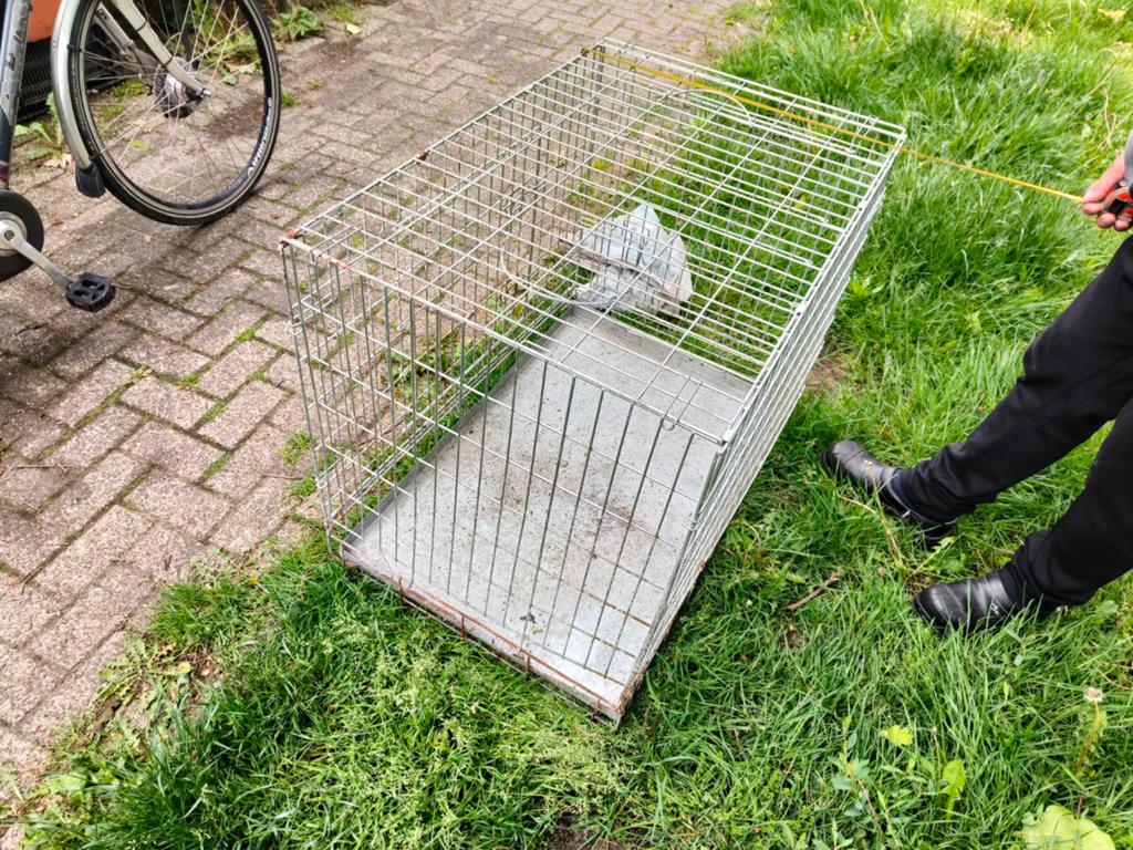 Honden transport kooi, Ophalen, Gebruikt