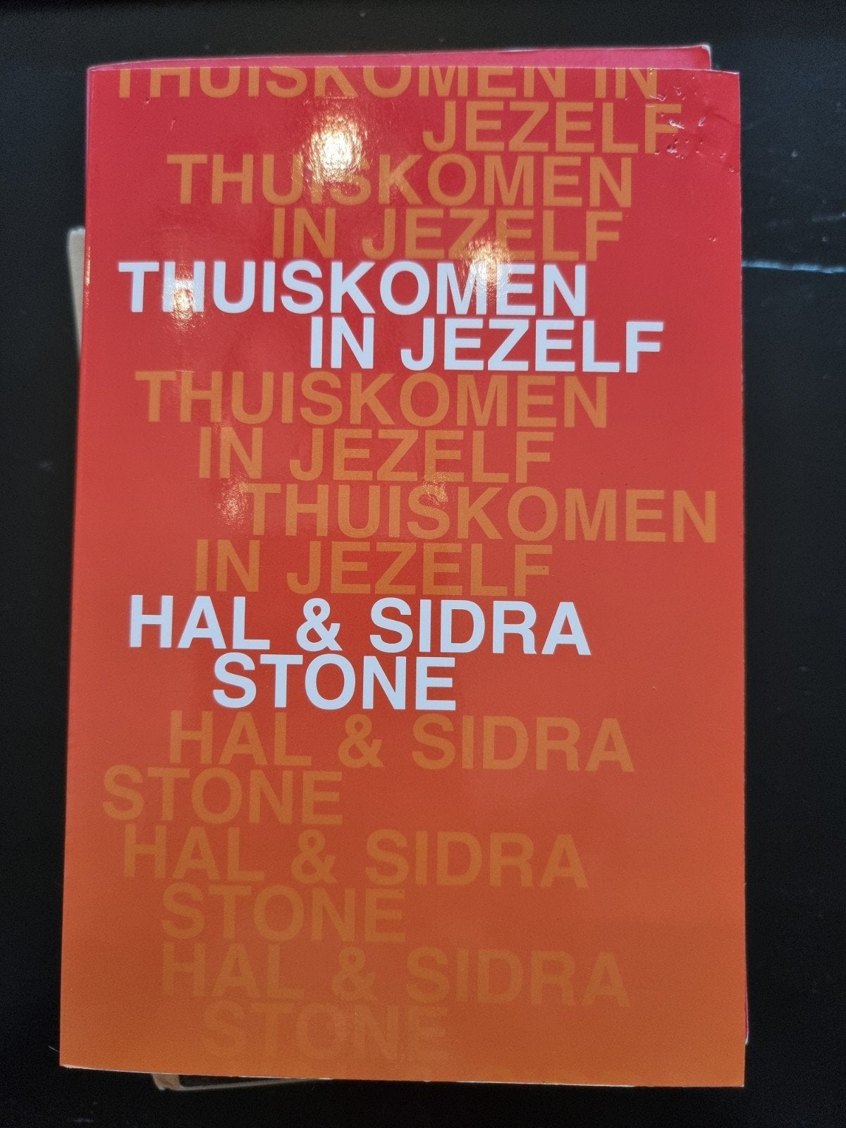 Thuiskomen in Jezelf - Hal & Sidra Stone, Boeken, Ophalen of Verzenden, Gelezen, Overige onderwerpen, Hal & Sidra Stone