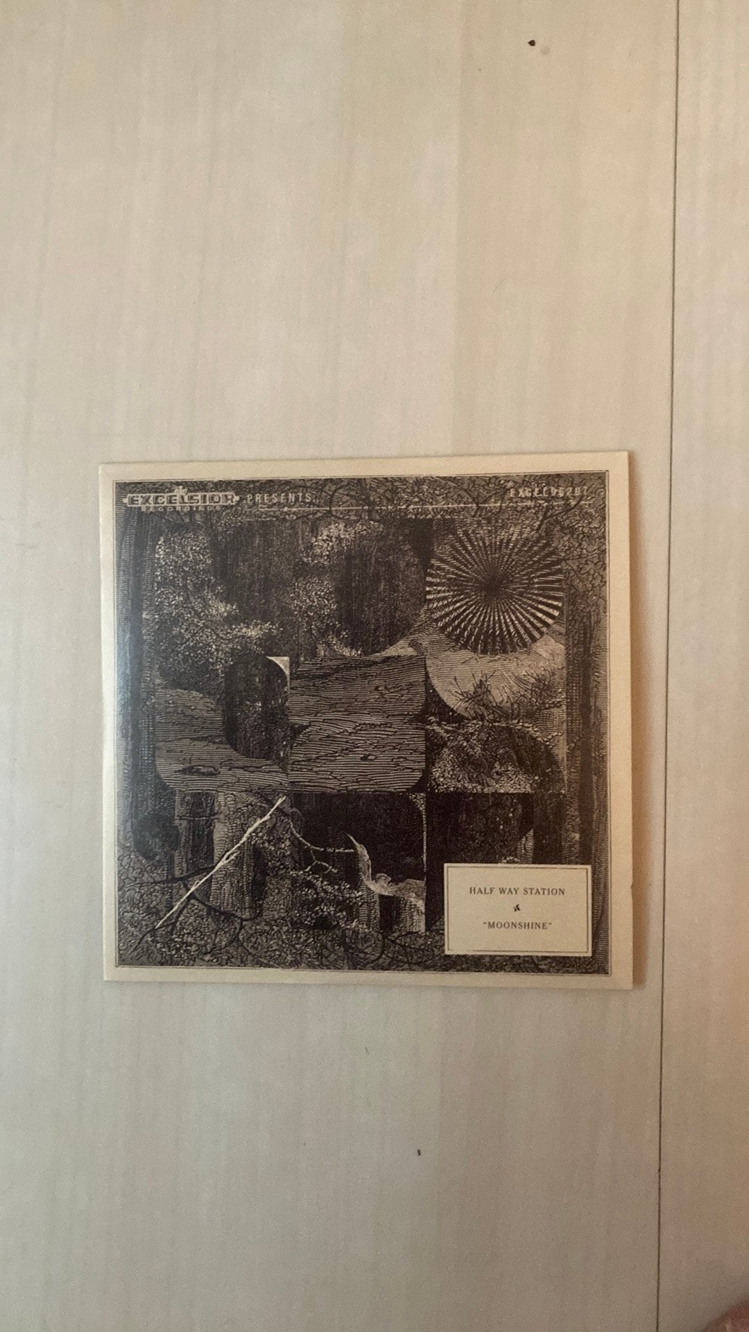 Half Way Station - moonshine Rotterdamse band,rock,indiefolk, Cd's en Dvd's, Cd's | Rock, Ophalen of Verzenden, Zo goed als nieuw