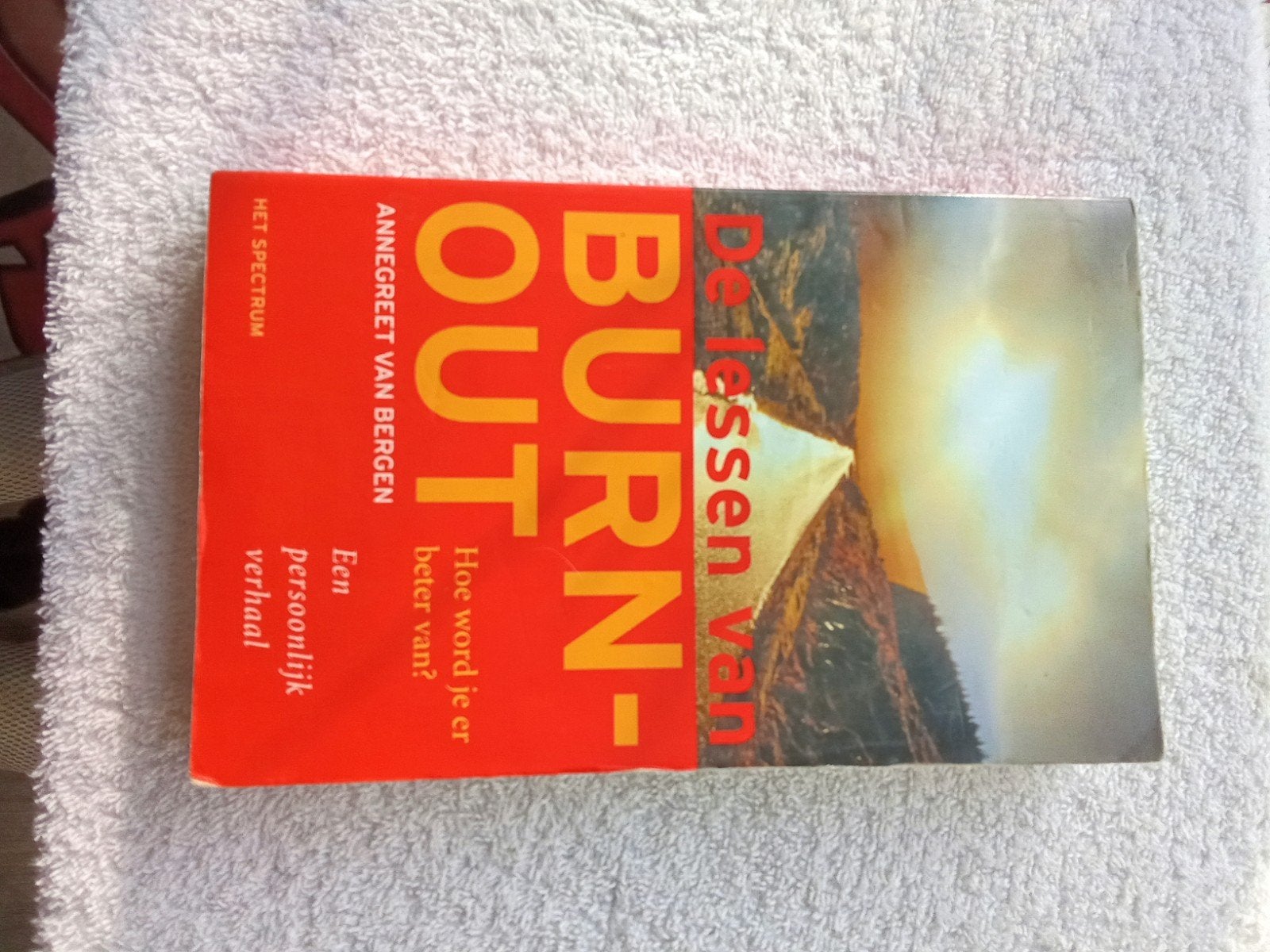 De lessen van Burn-Out - Hoe word je er beter van?, Ophalen of Verzenden