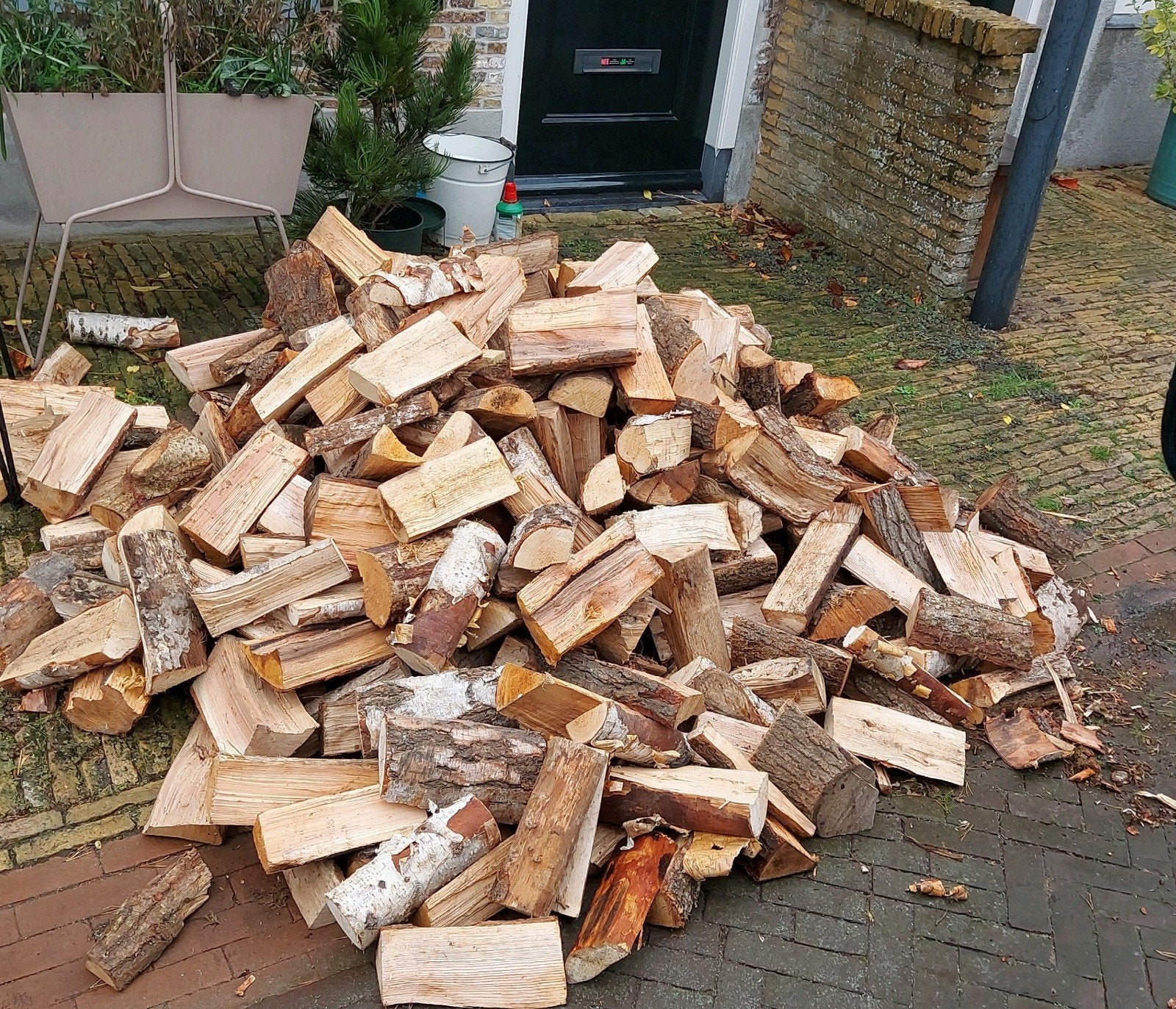 Ovengedroogd berken haardhout 25cm, droog direct stoken, Ophalen, Berkenhout, Blokken