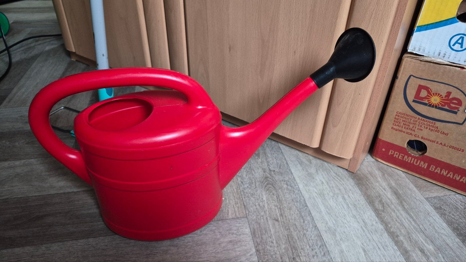 Rode gieter met sproeikop, Ophalen of Verzenden, Nieuw