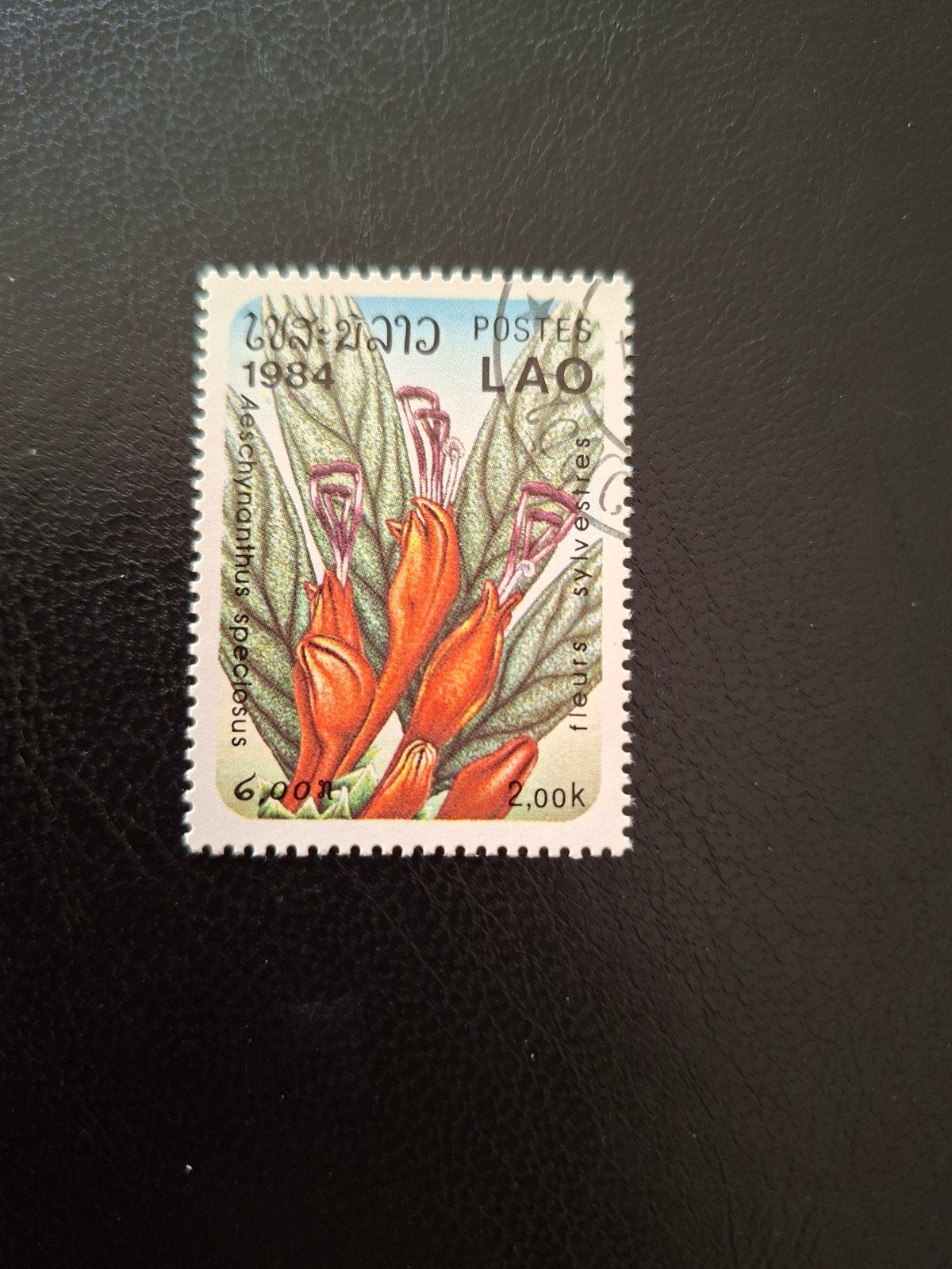 Bloemen.  Laos, Ophalen of Verzenden, Dier of Natuur