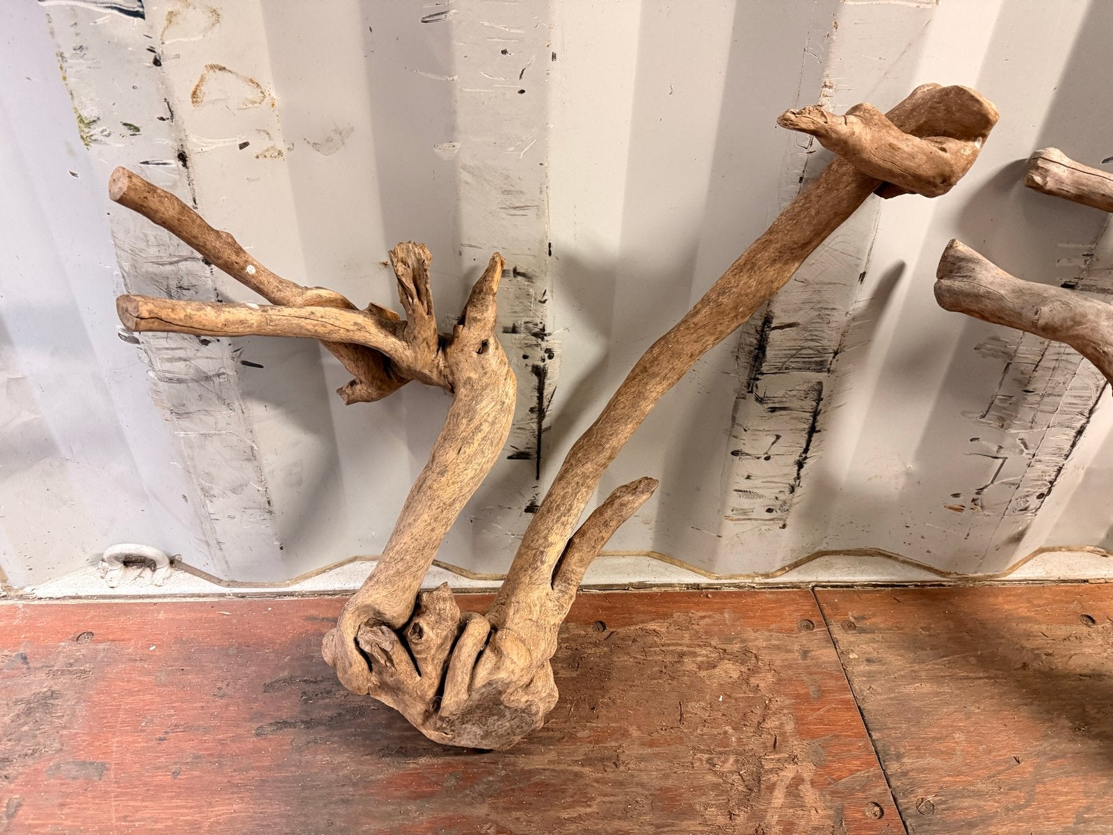 Papegaai klim boom/stok, Meerdere dieren, Papegaai
