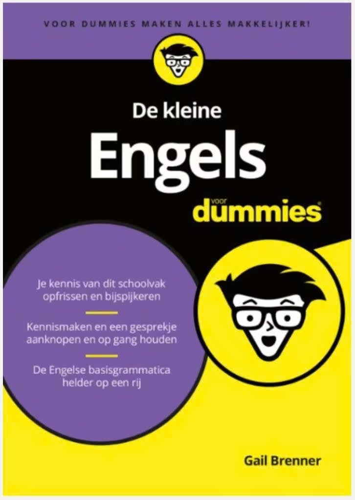 De kleine Engels voor Dummies, Ophalen of Verzenden, Zo goed als nieuw