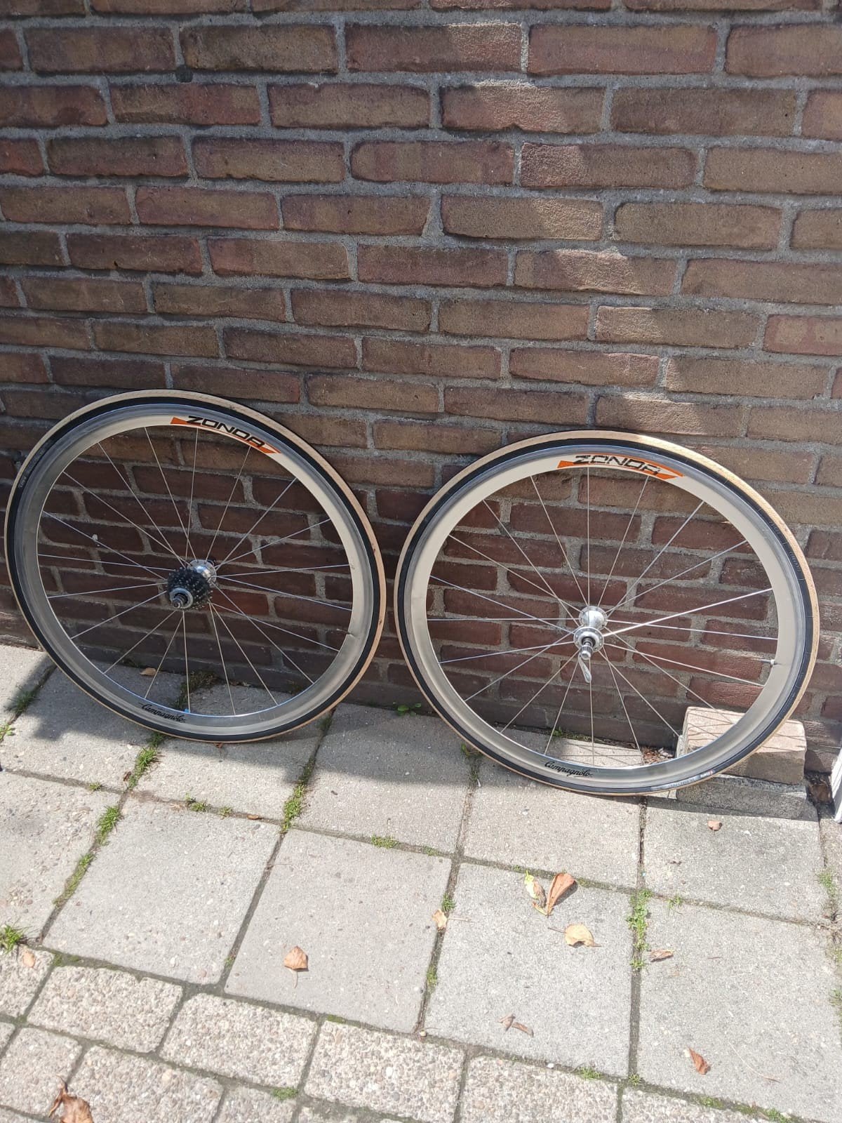 Campagnolo Zonda Wielset in Nette Staat, Gebruikt, Campagnolo Zonda Shamal wielset, Aluminium, Racefiets
