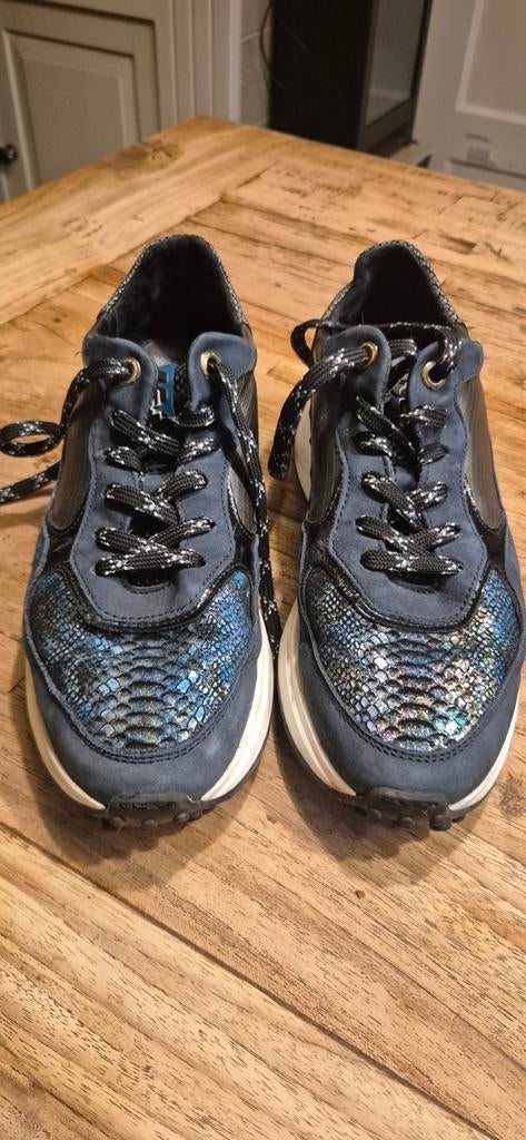 Floris van Bommel sneakers zgan mt 39 met slangenprint, Kleding | Dames, Schoenen, Blauw, Floris van Bommel, Ophalen of Verzenden