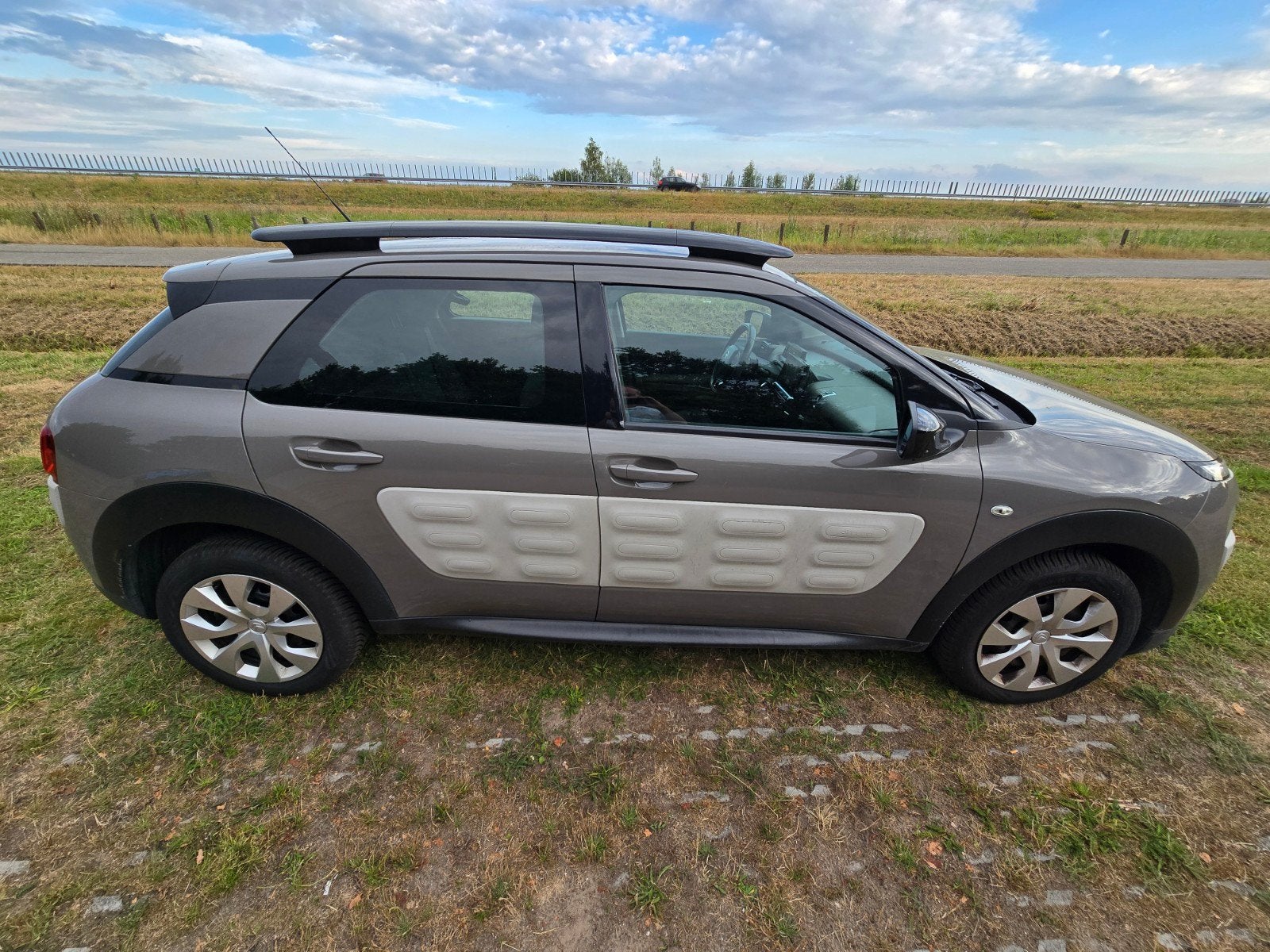 Citroën C4 Cactus 1.2 VTI 82 2016 Bruin, Voorwielaandrijving, Stof, 1199 cc, Origineel Nederlands