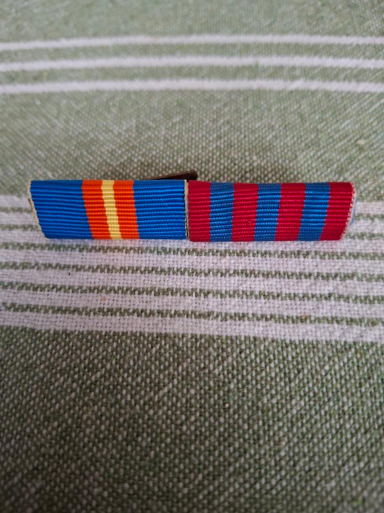 Batonset, Ophalen of Verzenden, Landmacht, Nederland, Embleem of Badge