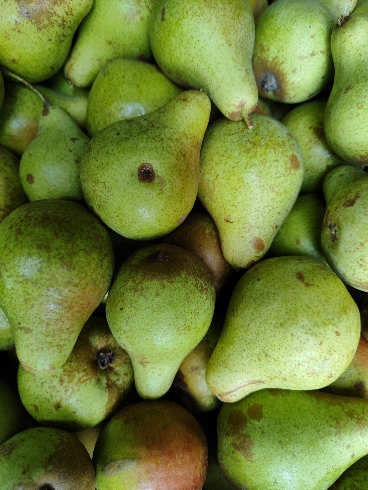Onbespoten handperen, sappig en zoet., Ophalen