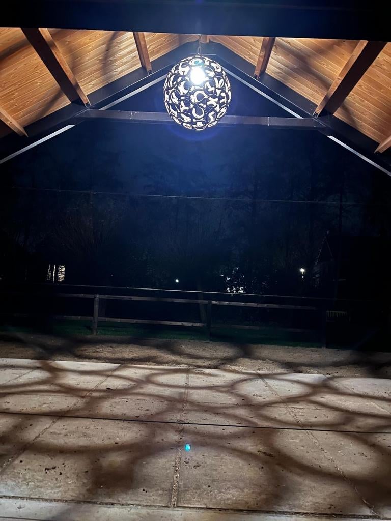 PAARDEN / hoefijzerlampen/ ornament/ stallampen/ decoratie, Eén persoon, Overige typen