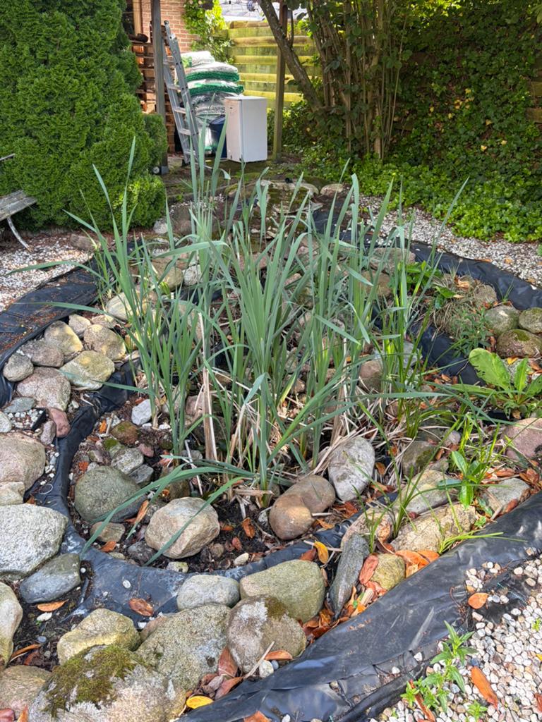Vijver planten en sierkeien, Tuin en Terras, Vijvers, Ophalen, Zo goed als nieuw