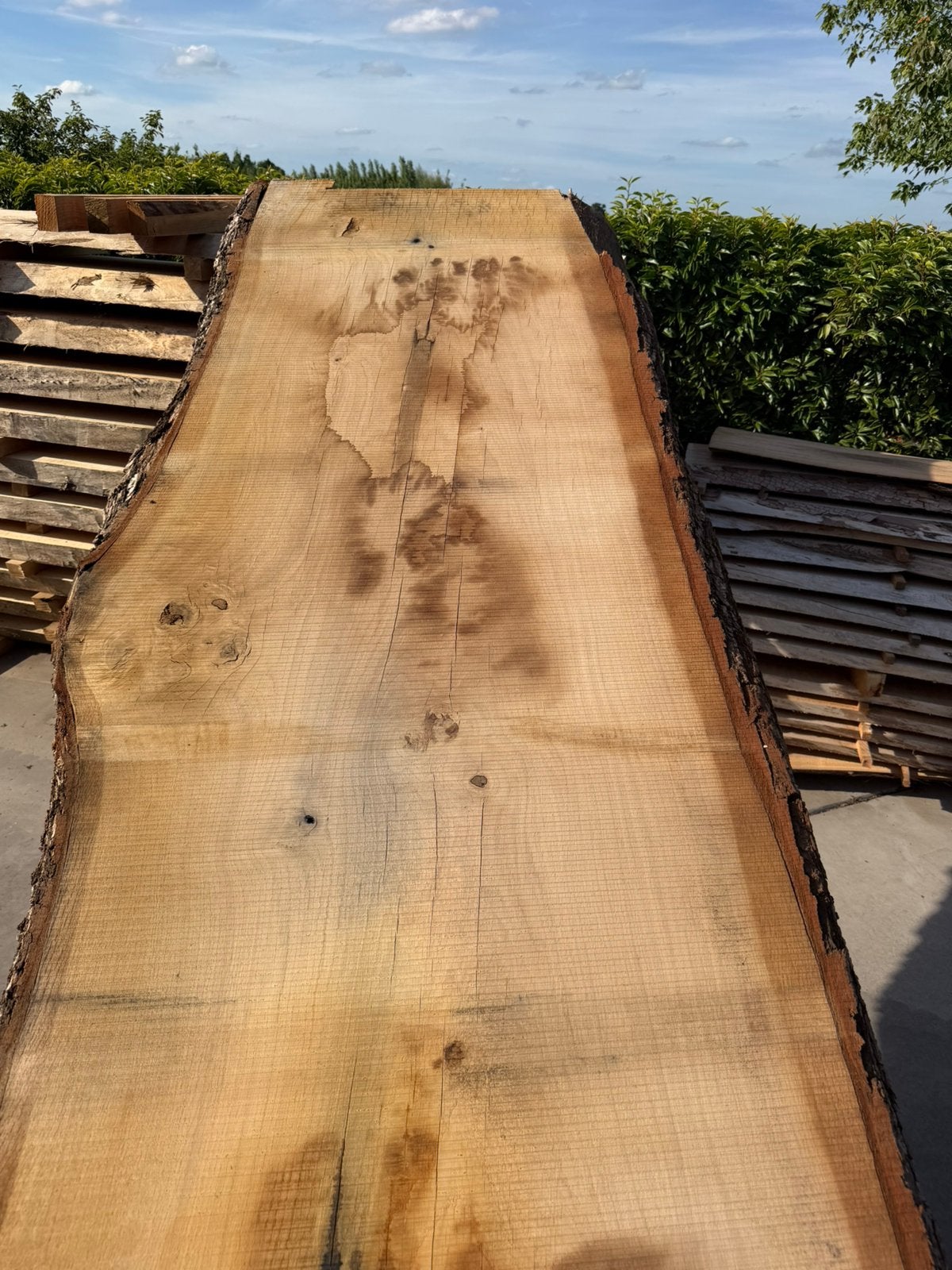 Zeer groot eiken boomstamblad 310x90x8cm, Ophalen, Zo goed als nieuw, 250 cm of meer, Planken