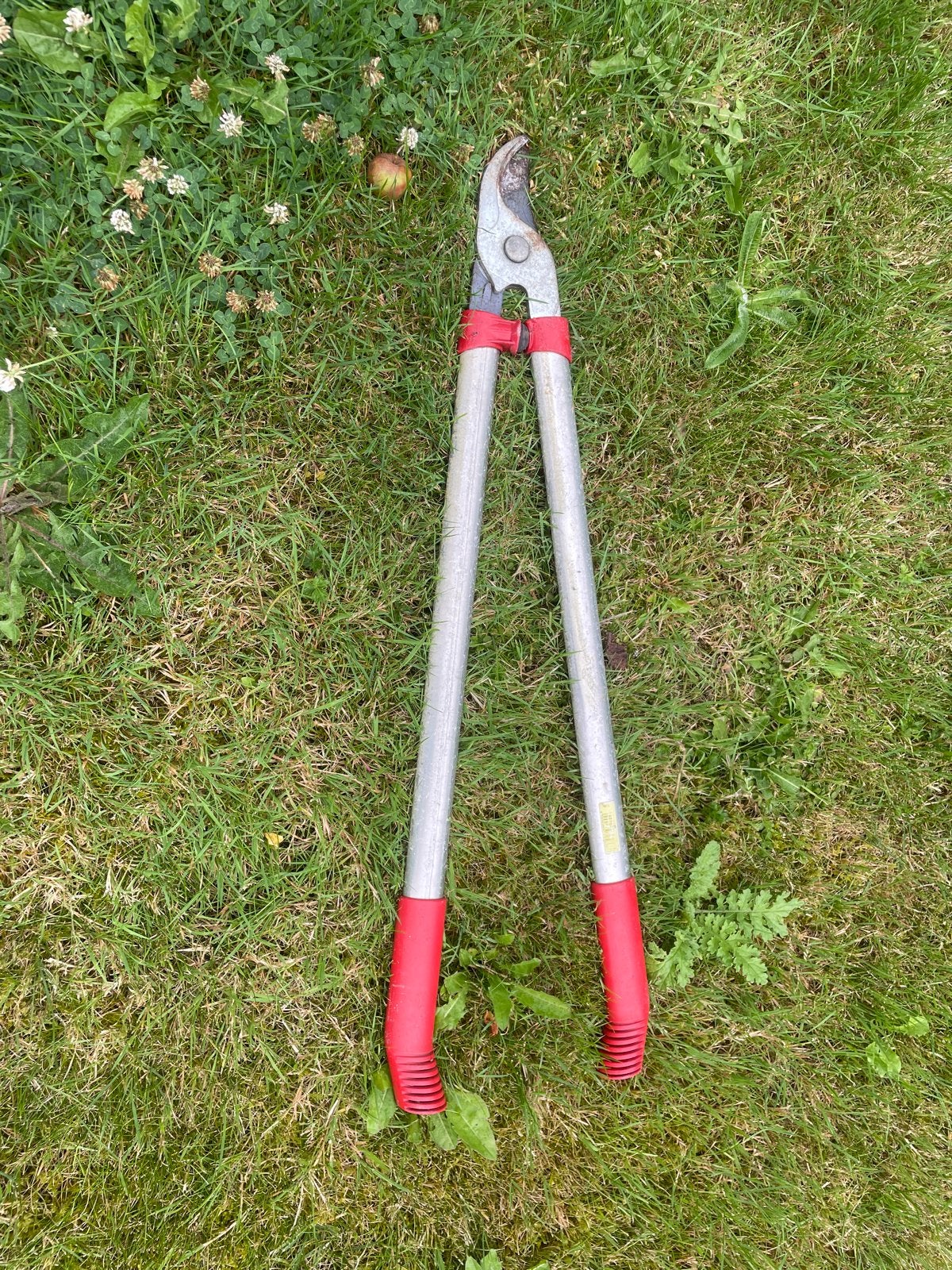 Takkenschaar - Snoeischaar voor tuin en snoeiwerk, Tuin en Terras, Hand-tuingereedschap, Ophalen, Gebruikt, Overige soorten