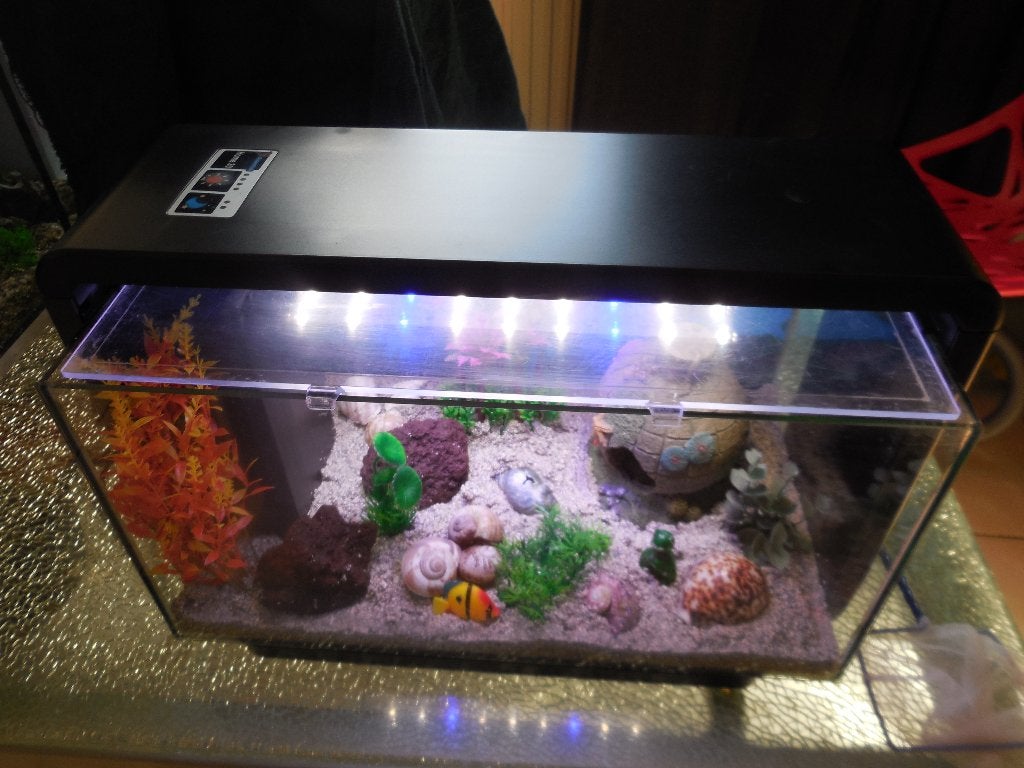compleet design aquarium superfish home 30, Gebruikt, Leeg aquarium, Superfish, Ophalen