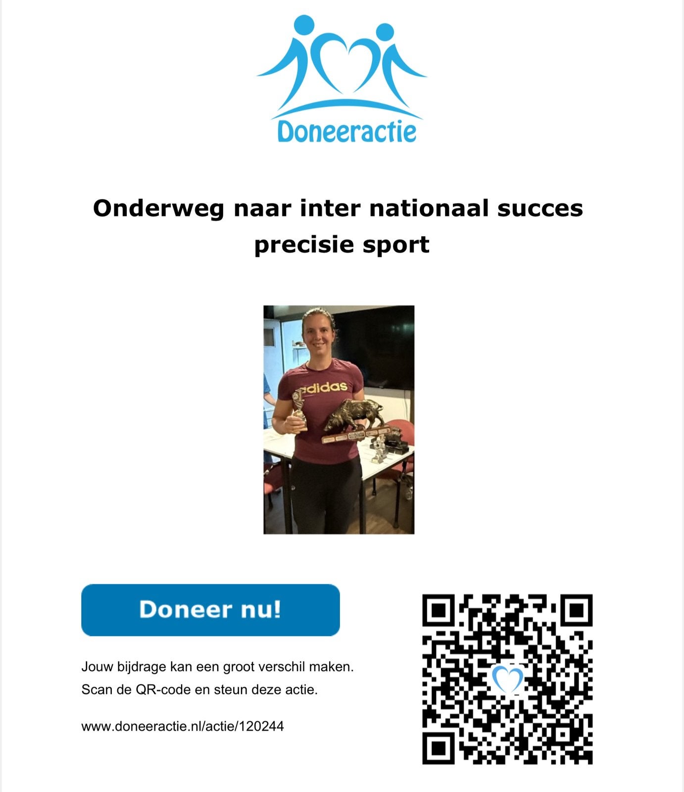 Opweg naar internationaal succes - donaties/sponsor gezocht, Overige niveaus, Overige vormen