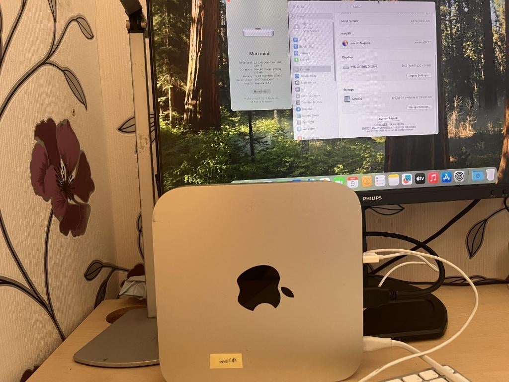 mac mini Mid 2011, Computers en Software, Apple Desktops, Ophalen, 2 tot 3 Ghz, SSD, Mac Mini