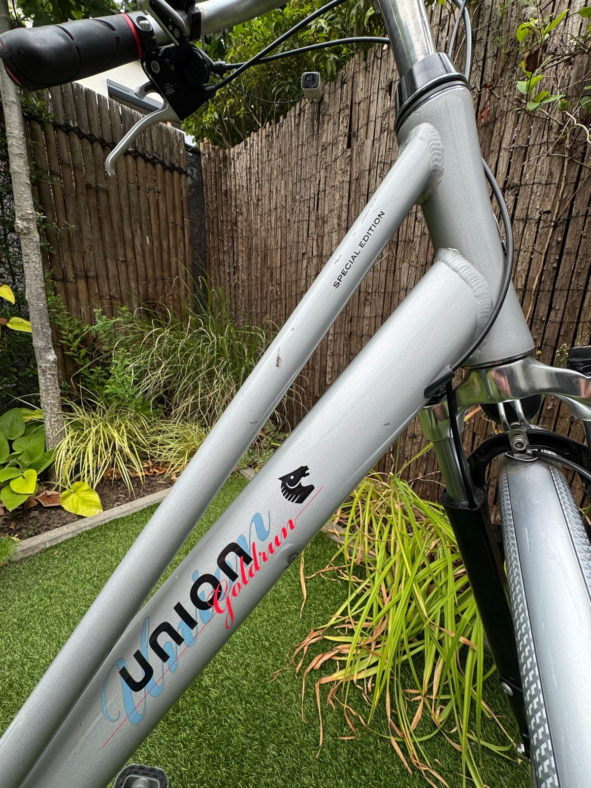 Union Goldrun Damesfiets - Special Edition, Velgrem, Versnellingen, Ophalen, Overige merken
