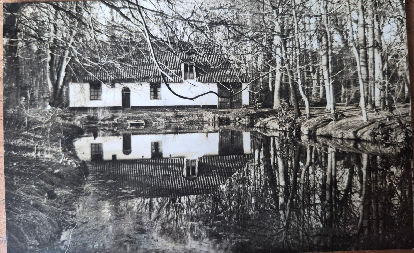 Oude Ansichtkaart: Volschageschool Bergen N.H. Boerderij, Ophalen, Ongelopen, Noord-Holland