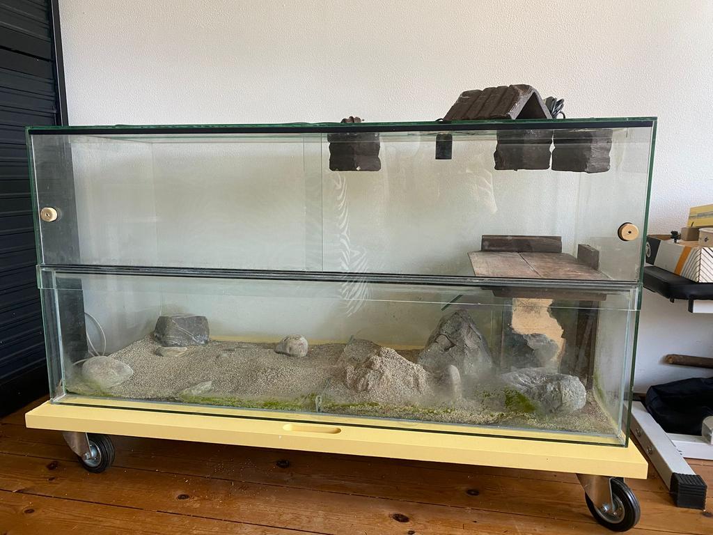 Schildpad aquarium/terrarium 120x50x60, Ophalen, Gebruikt