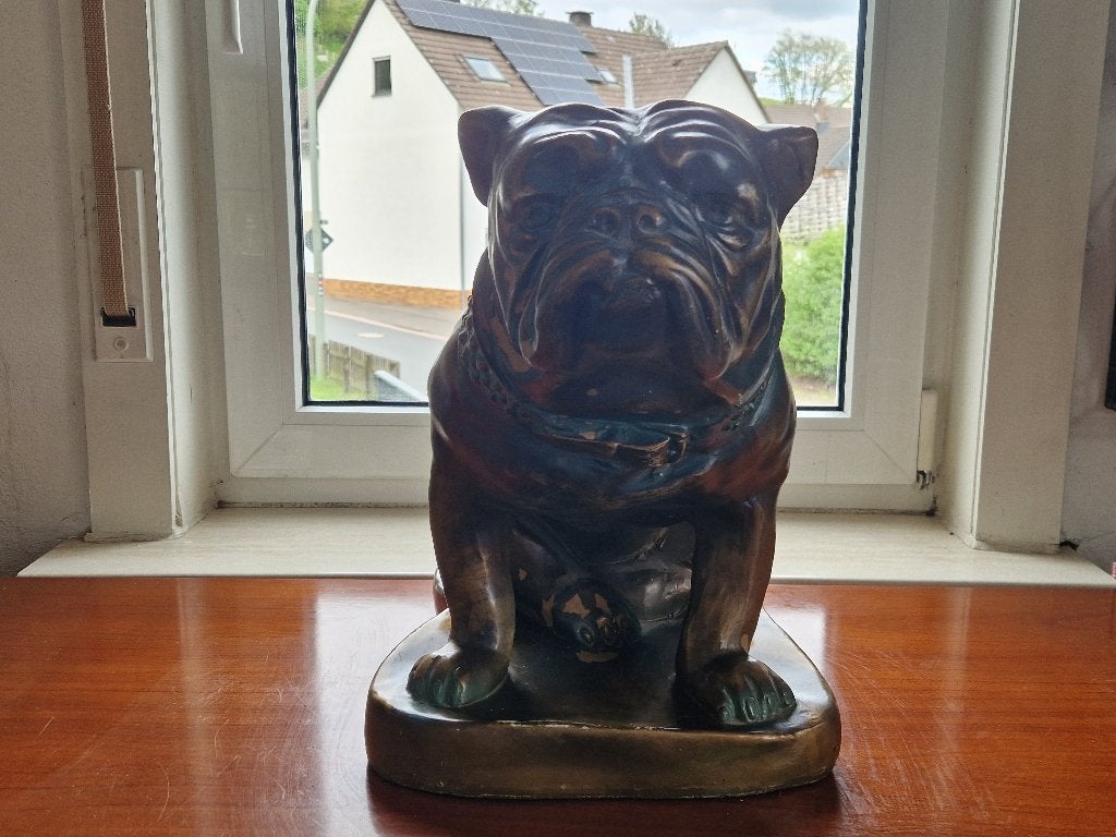 Stoer en oud Engelse Bulldog beeld, Ophalen, Gebruikt, Dier