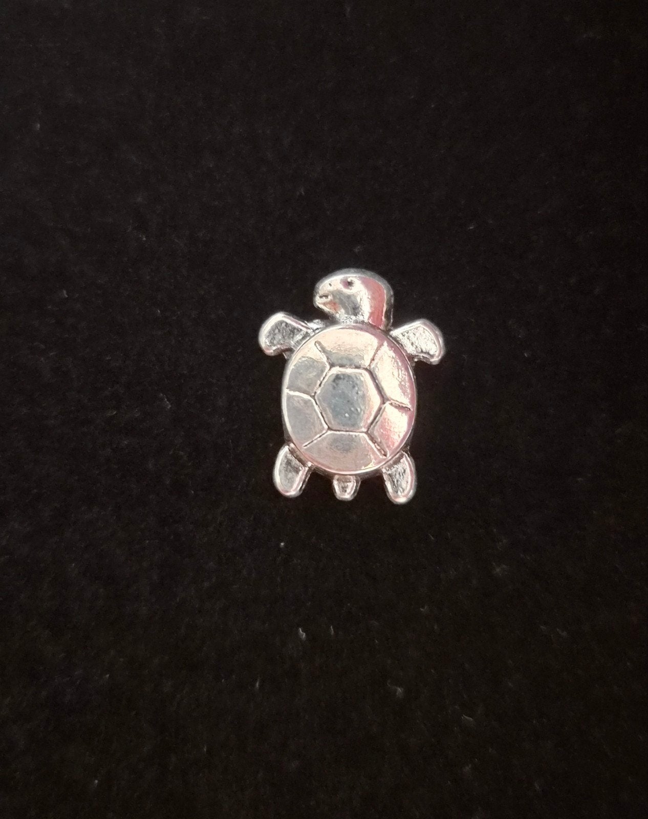 Schildpad Bedel, 1 bedel, Ophalen of Verzenden, Nieuw