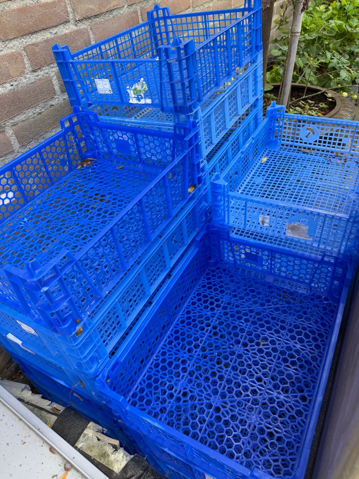 plastic champignons kratten fijn voor opslag en transport, Doe-het-zelf en Verbouw, Gebruikt, 40 tot 60 cm, 50 tot 75 cm, Ophalen of Verzenden