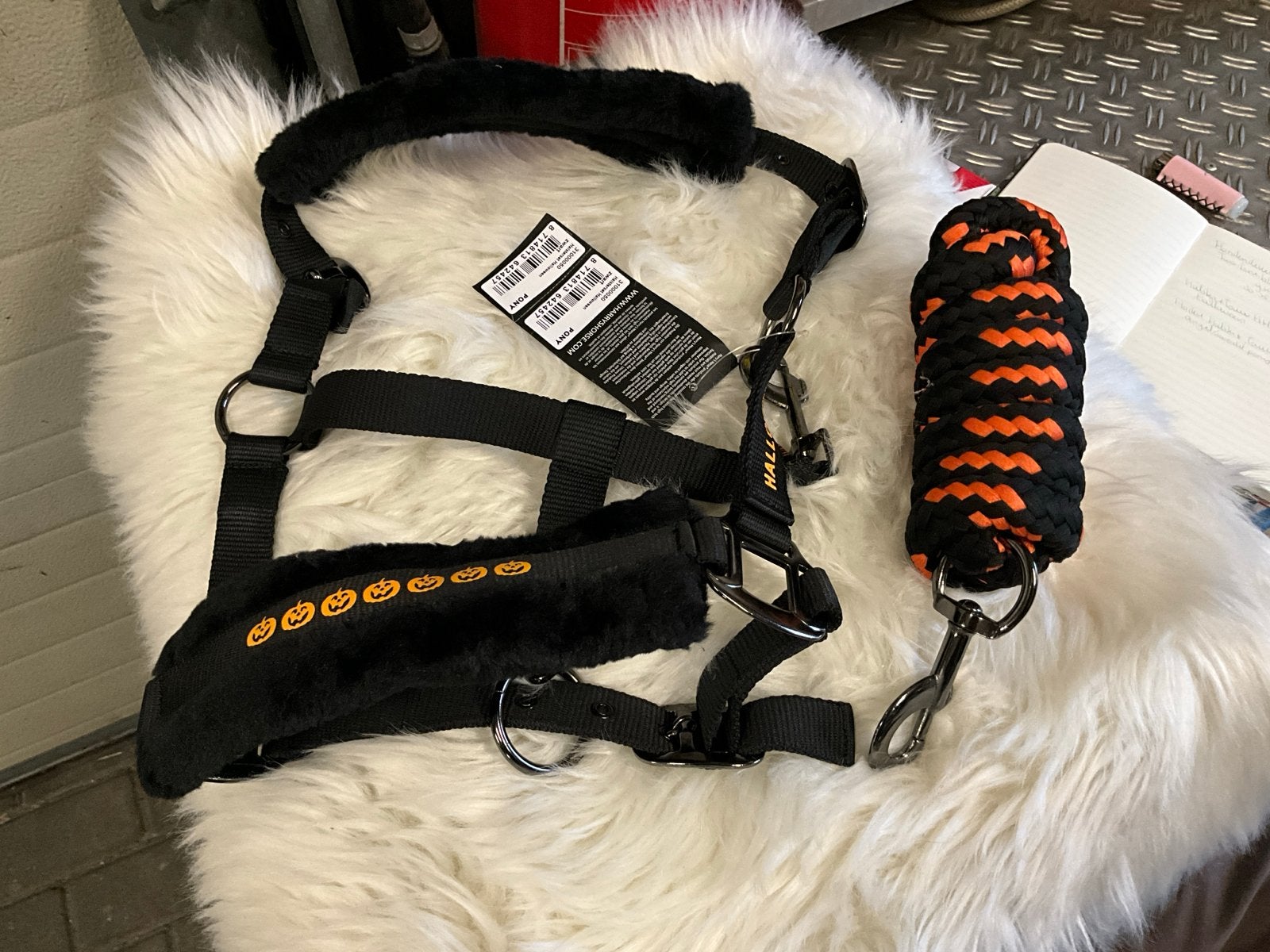 Nieuwe Halloween halsters met touw in diverse maten, Ophalen, Nieuw