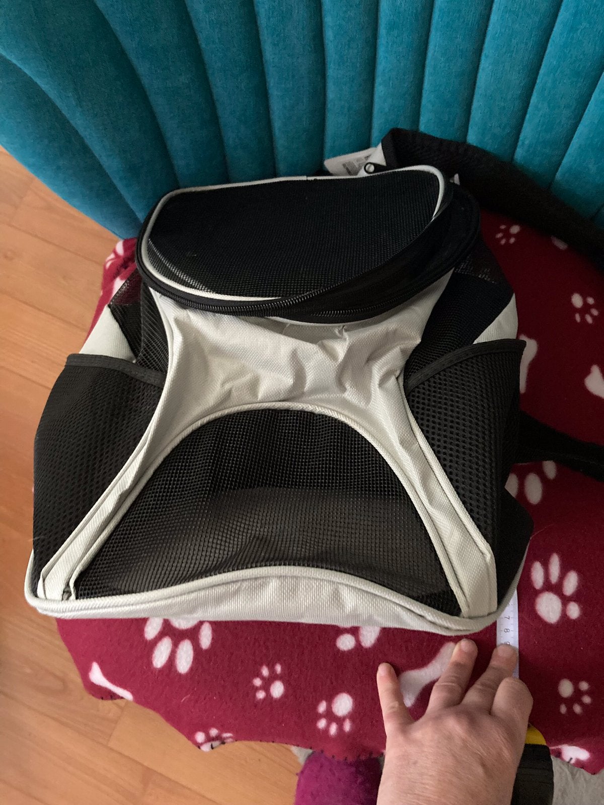 Kat poes hond rugzak, Dieren en Toebehoren, Honden-accessoires, Ophalen of Verzenden, Nieuw, Draagtas/-zak