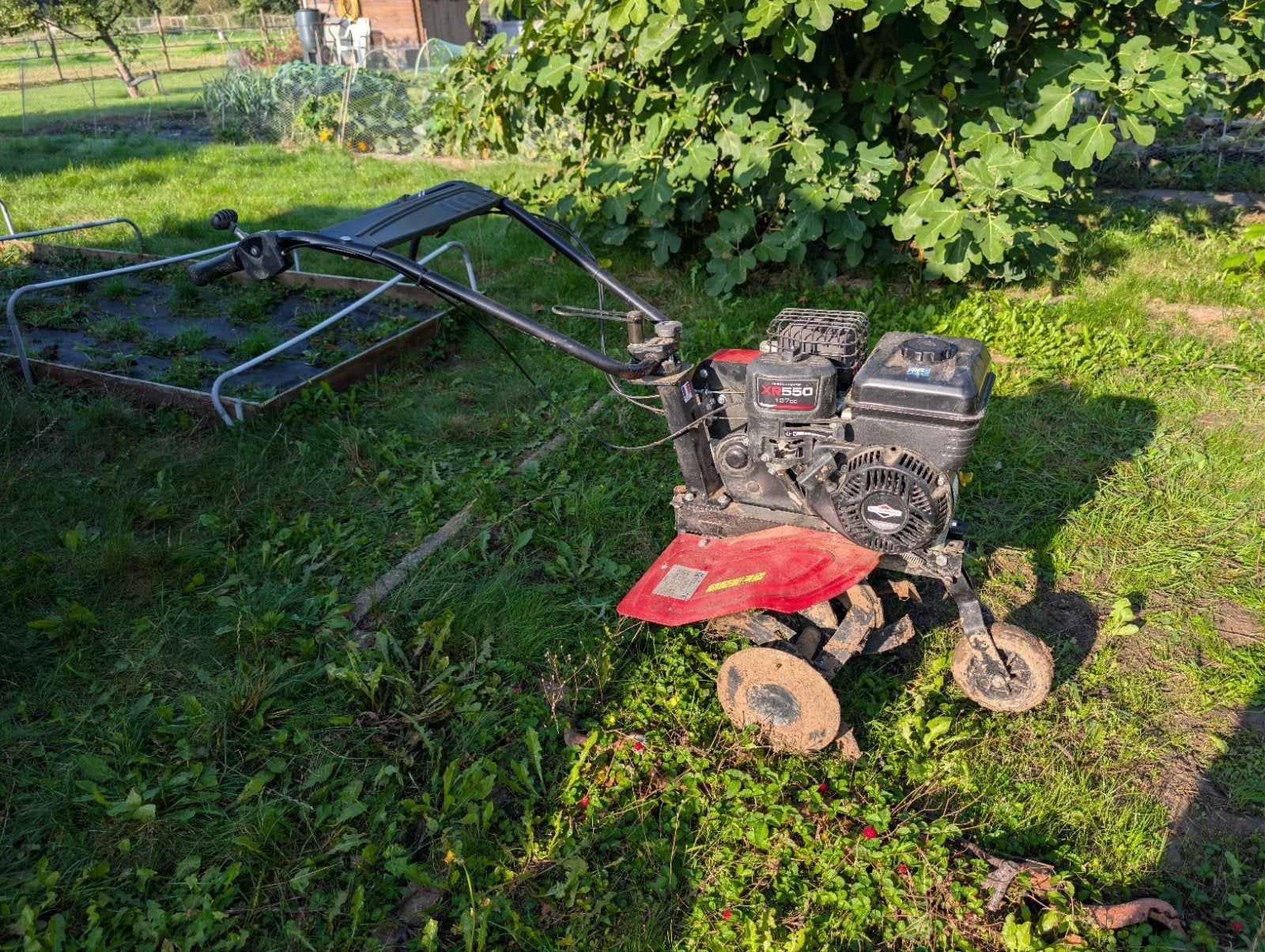 Tuinfrees Lazer 550 Briggs & Stratton, Ophalen, Gebruikt