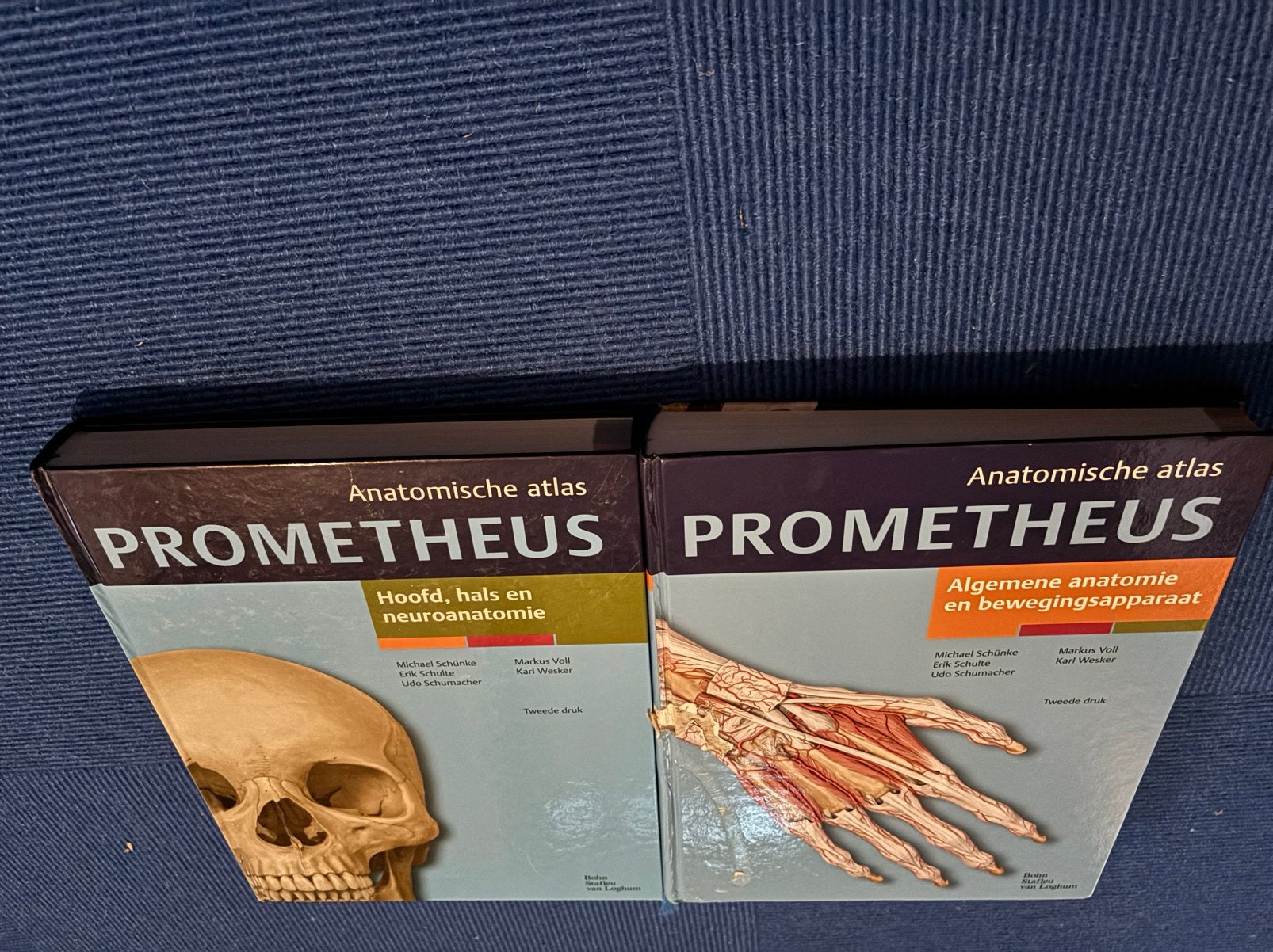 Anatomische atlassen Prometheus goede staat, Boeken, Studieboeken en Cursussen, Ophalen of Verzenden, Beta, Zo goed als nieuw
