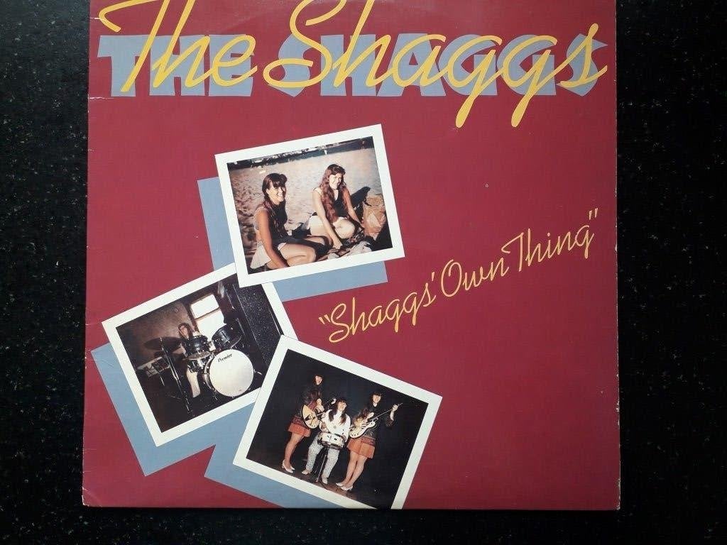 SHAGGS - SHAGGS OWN THING - LP, Verzenden, Zo goed als nieuw, Pop, LP