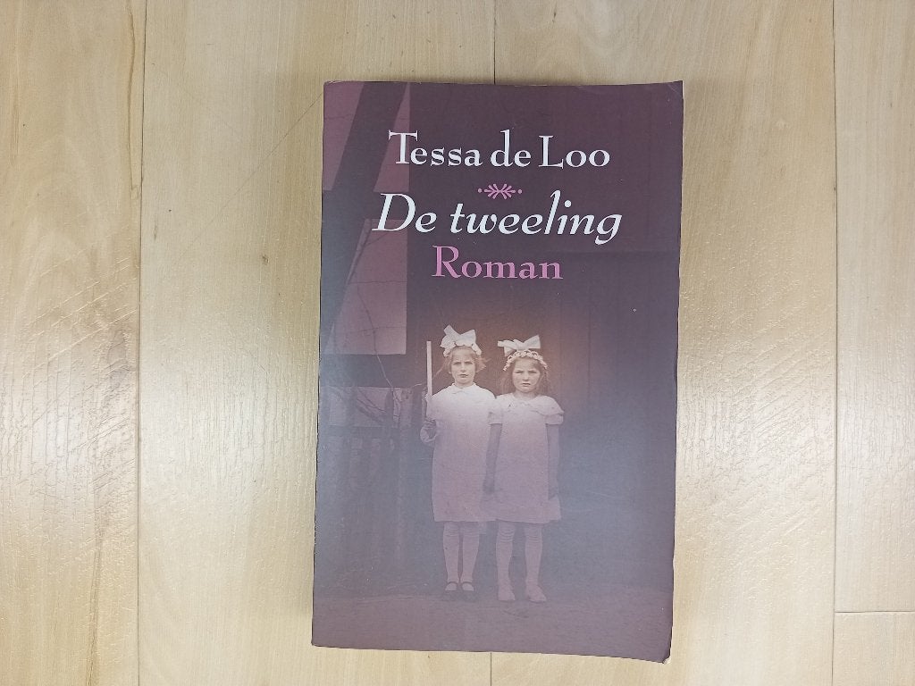 De Tweeling - Tessa de Loo (Roman), Gelezen, Tessa de Loo, Ophalen of Verzenden, Nederland