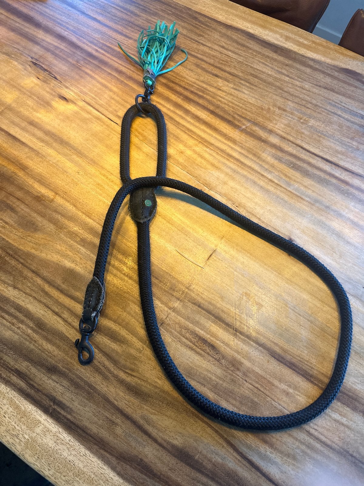 Korte riem grote hond, dogswithamission, Ophalen