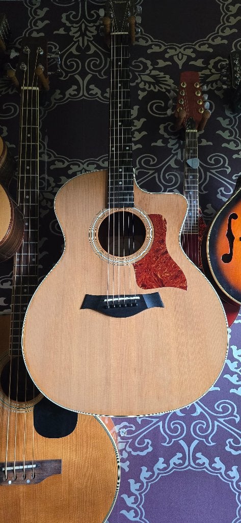 Taylor 214 CE, Ophalen, Zo goed als nieuw, Western- of Steelstringgitaar
