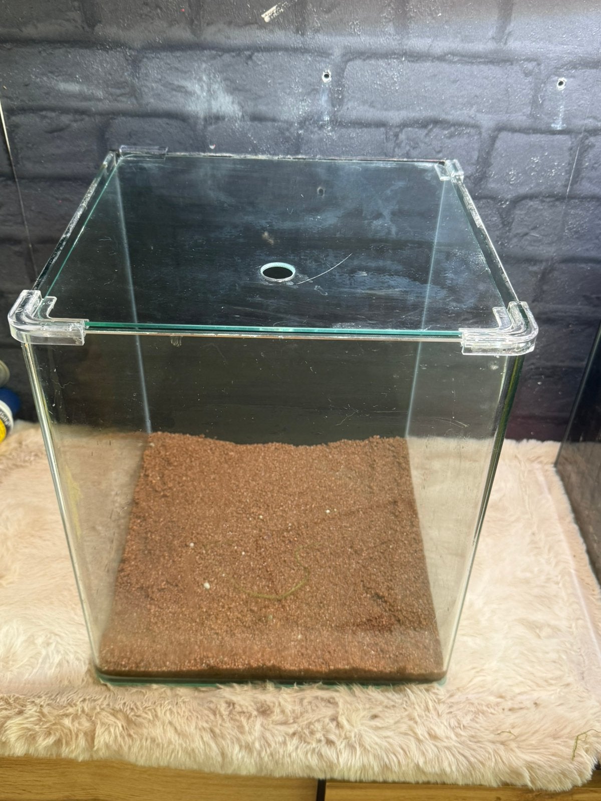 Dennerle 30L nano cube incl glasplaat, Ophalen, Gebruikt, Leeg aquarium, Dennerle