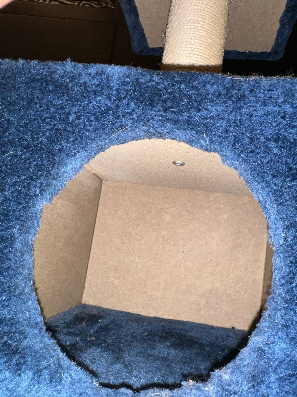 Kattenkrappaal blauw soms en binne plek voor de kat, Dieren en Toebehoren, Ophalen, Gebruikt
