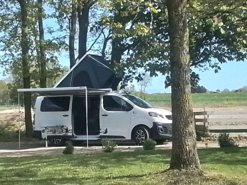Peugeot  E-Expert buscamper 75kwh  accu pakket, Buscamper of Camperbus, Koelkast, Tot en met 3, 5 tot 6 meter