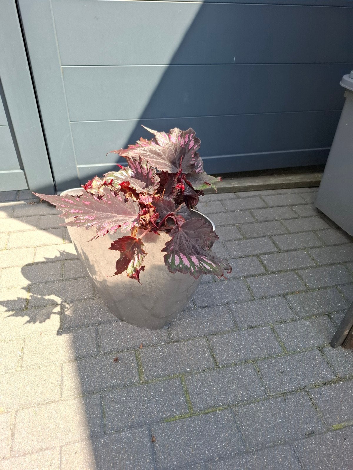Ovale vaas 40 cm hoog, 11 cm breed, Ophalen, Overige materialen, Gebruikt, Binnen