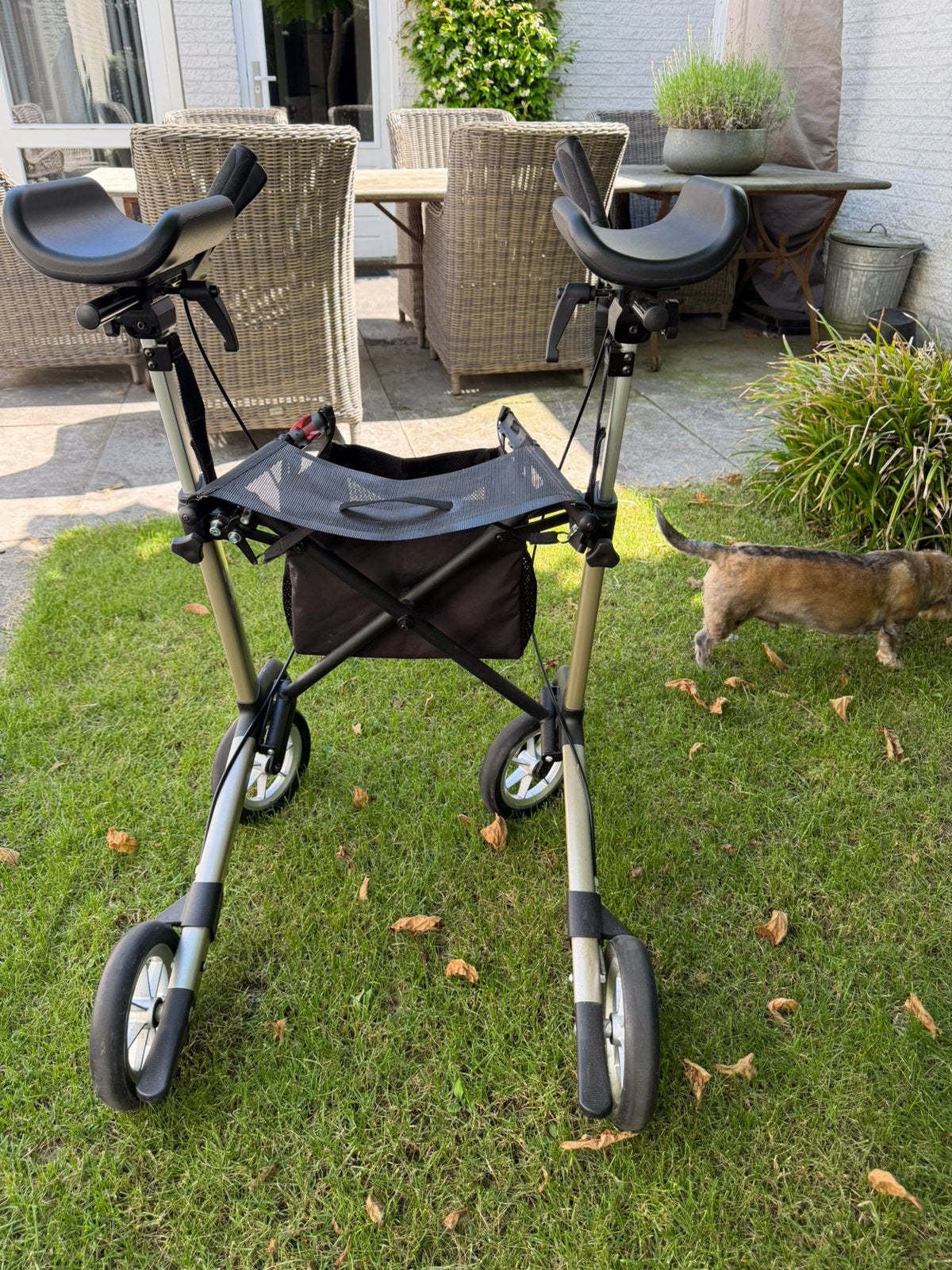 Rollator met armsteunen champagnekleur, Ophalen, Zo goed als nieuw