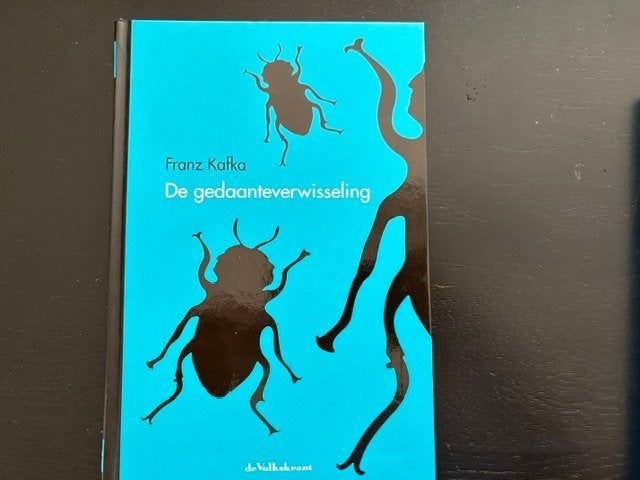 Franz Kafka - de gedaanteverwisseling, Boeken, Ophalen of Verzenden, Zo goed als nieuw
