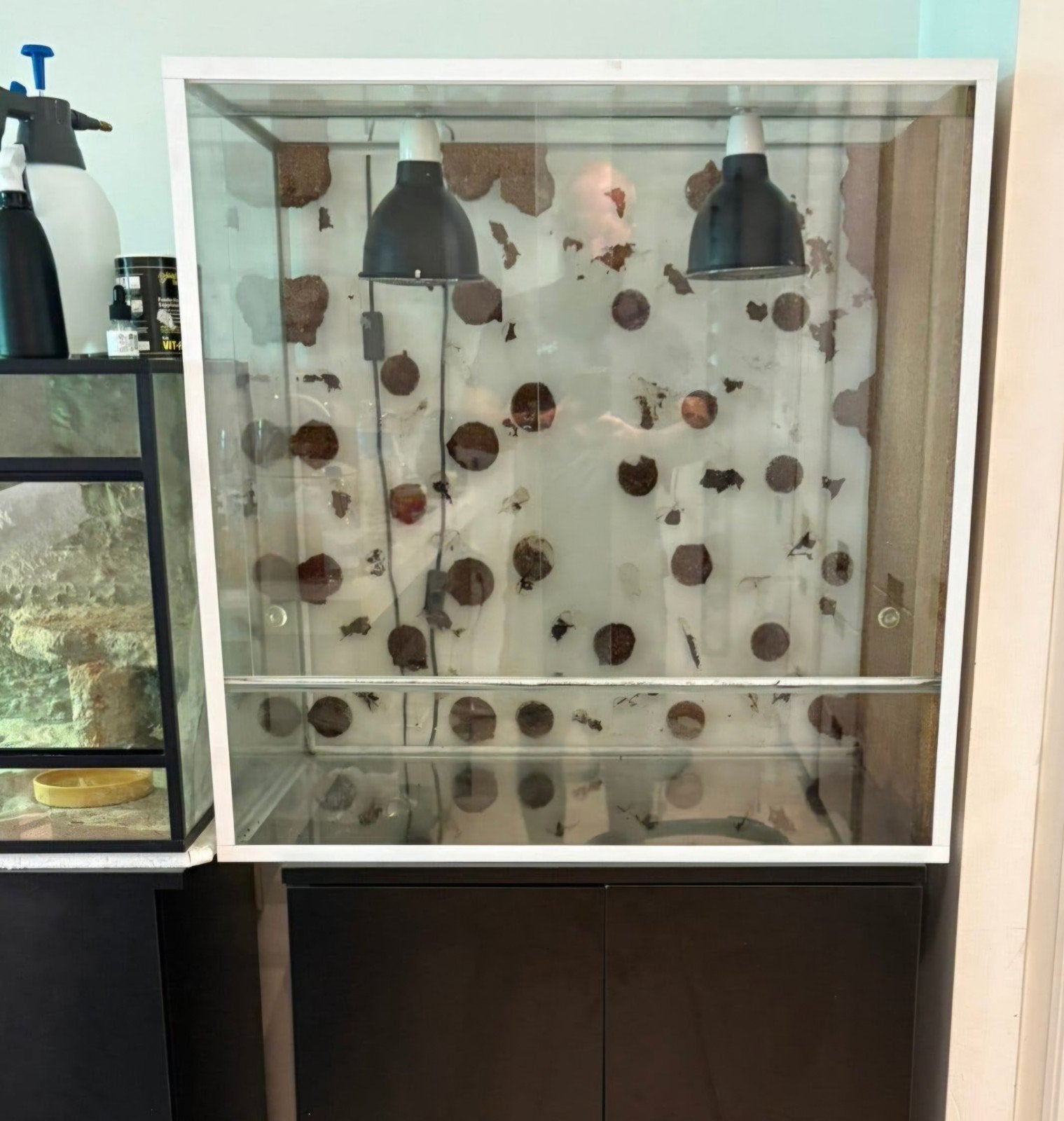 heel mooi terrarium met stevig meubel., Ophalen, Zo goed als nieuw, Terrarium of Paludarium