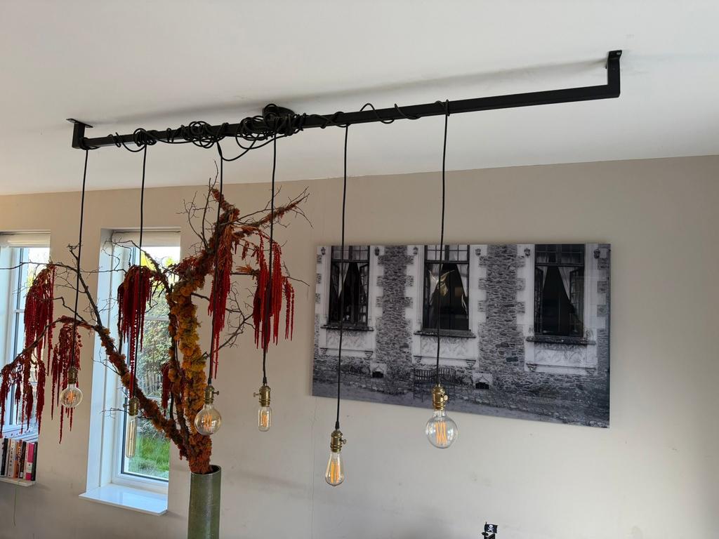 Industriële hanglamp Loftdeur met 5 Edison gloeilampen, Ophalen, Gebruikt, Metaal