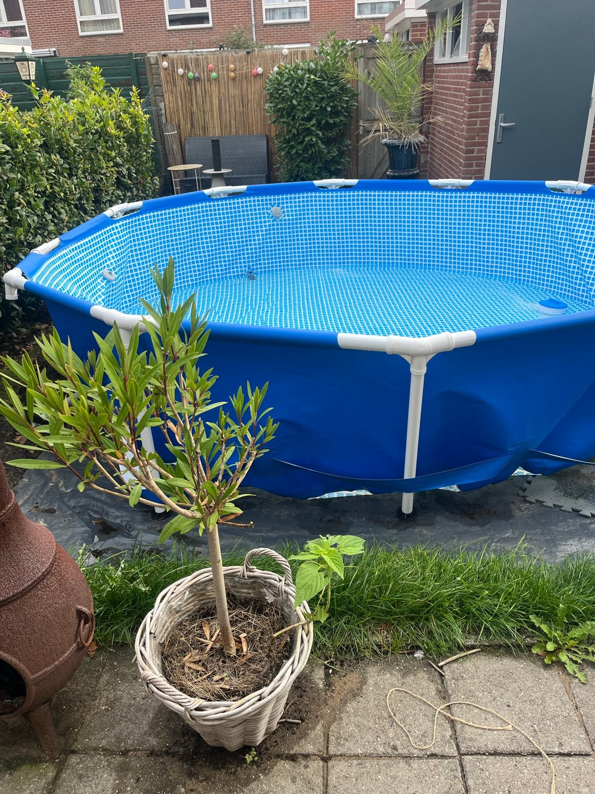 Gratis intex Zwembad 366 cm doorsnee met filterpomp, Ophalen, Gebruikt, Minder dan 80 cm, Rond